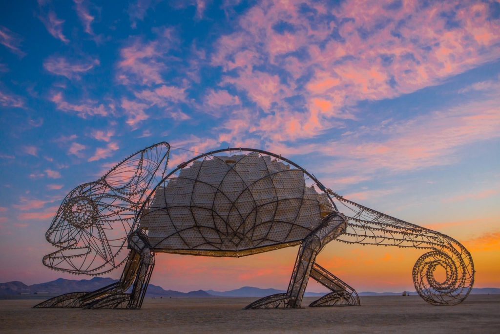 הלטאה - ברנינן מן נבאדה, 2019